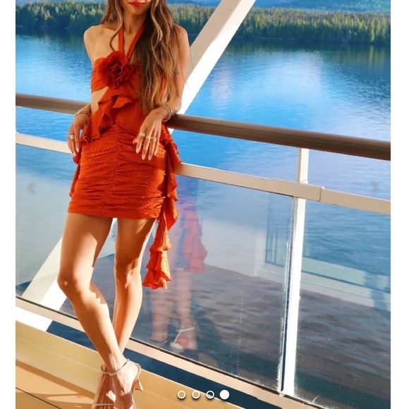 New RONNY KOBO Steph Dress - Picture 5 of 13